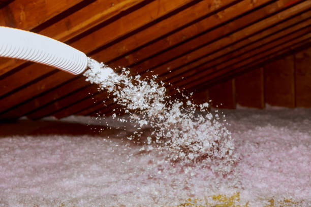 Best Attic Insulation Installation  in Brownsboro, TX